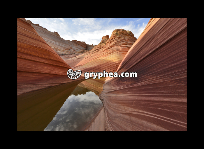 The Wave - Formations gréseuses (Utah, USA) - gryphea.com